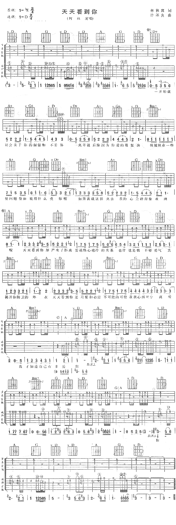 《天天看到你》简谱吉他谱对照