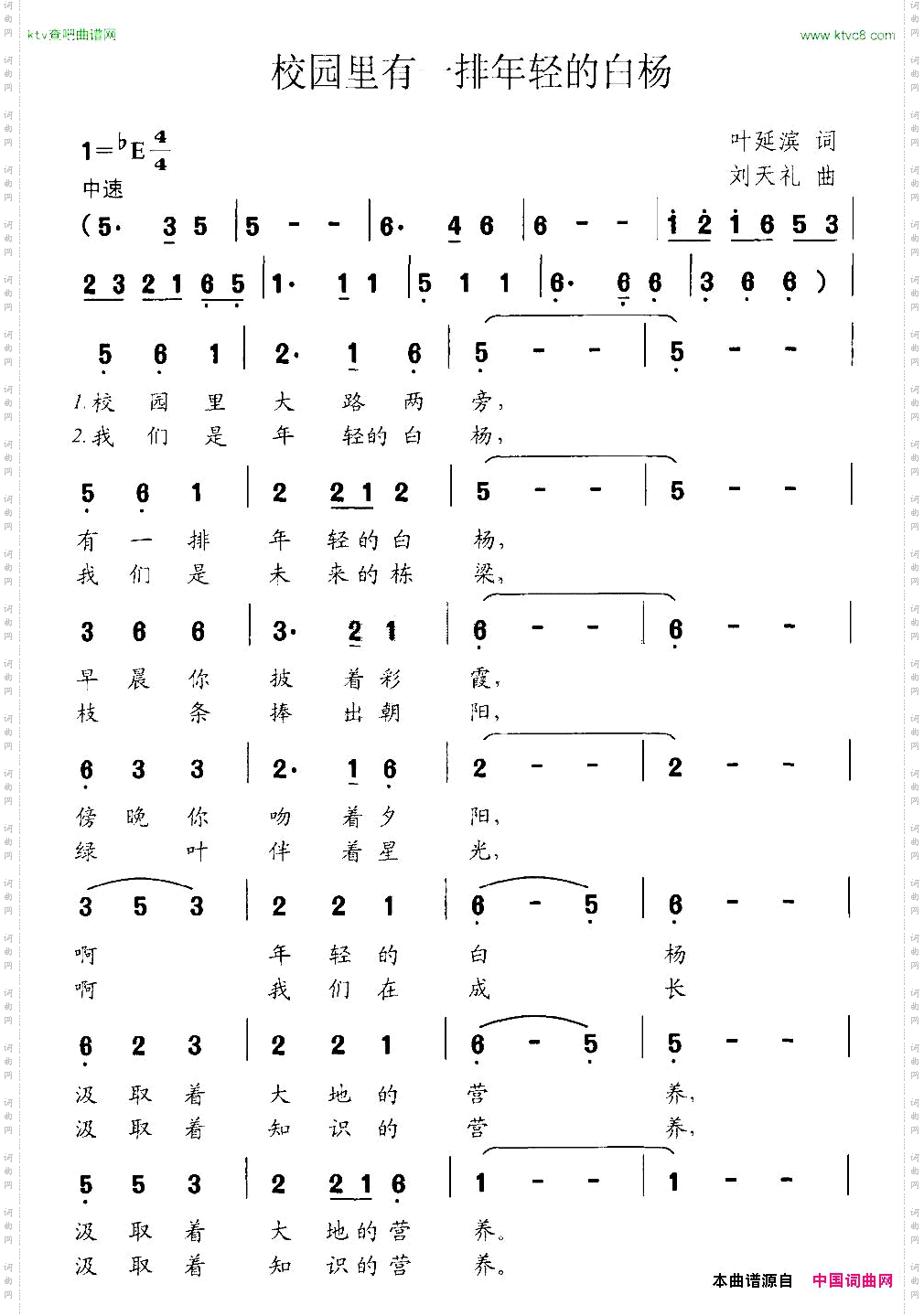 《校园里有一排年轻的白杨》简谱