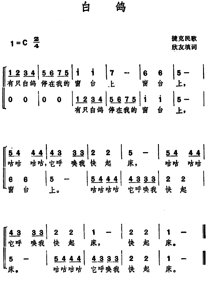 《白鸽》简谱