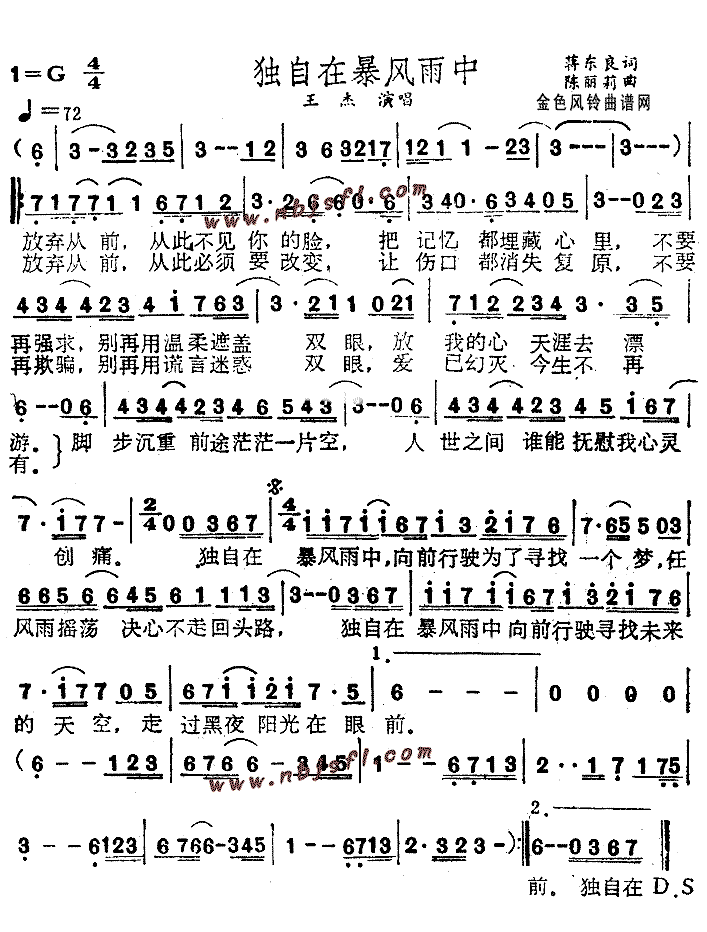 《独自在暴风雨中》简谱