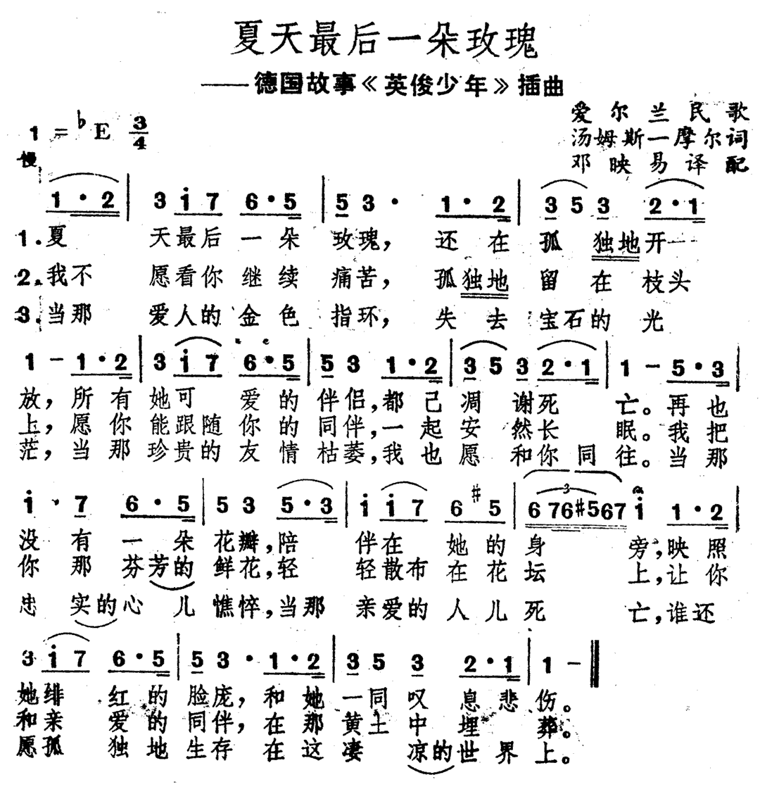 《夏天最后一朵玫瑰》简谱