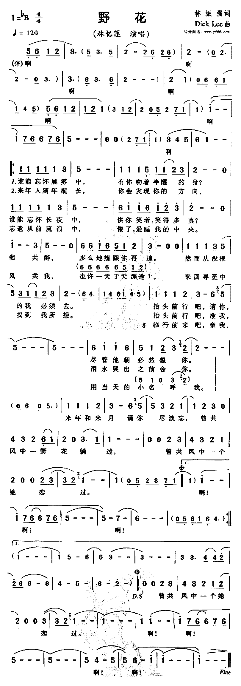 《野花》简谱