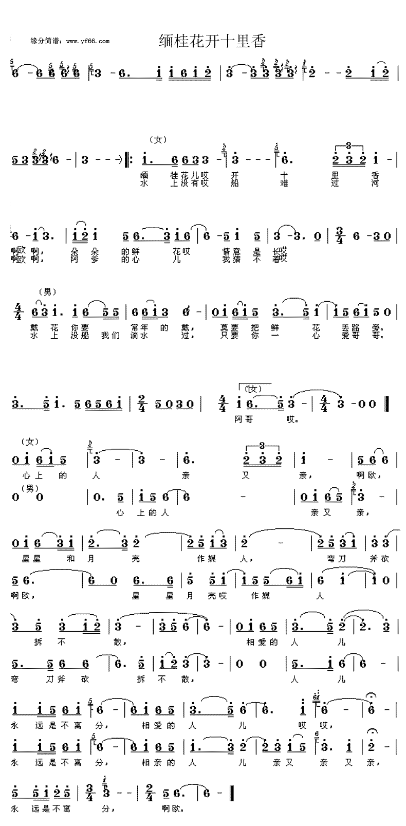 《缅桂花开十里香》简谱