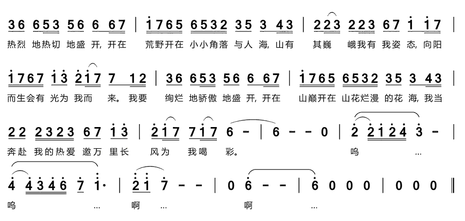 《热烈盛开》简谱